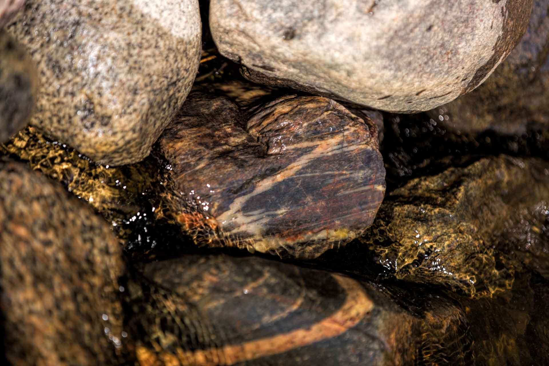 Wet Rocks at Loon Lake